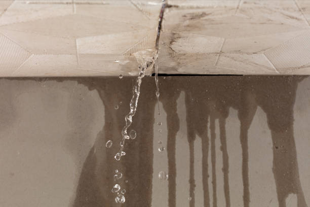 Professional Water Damage Inspection technician working in Redwood City, CA